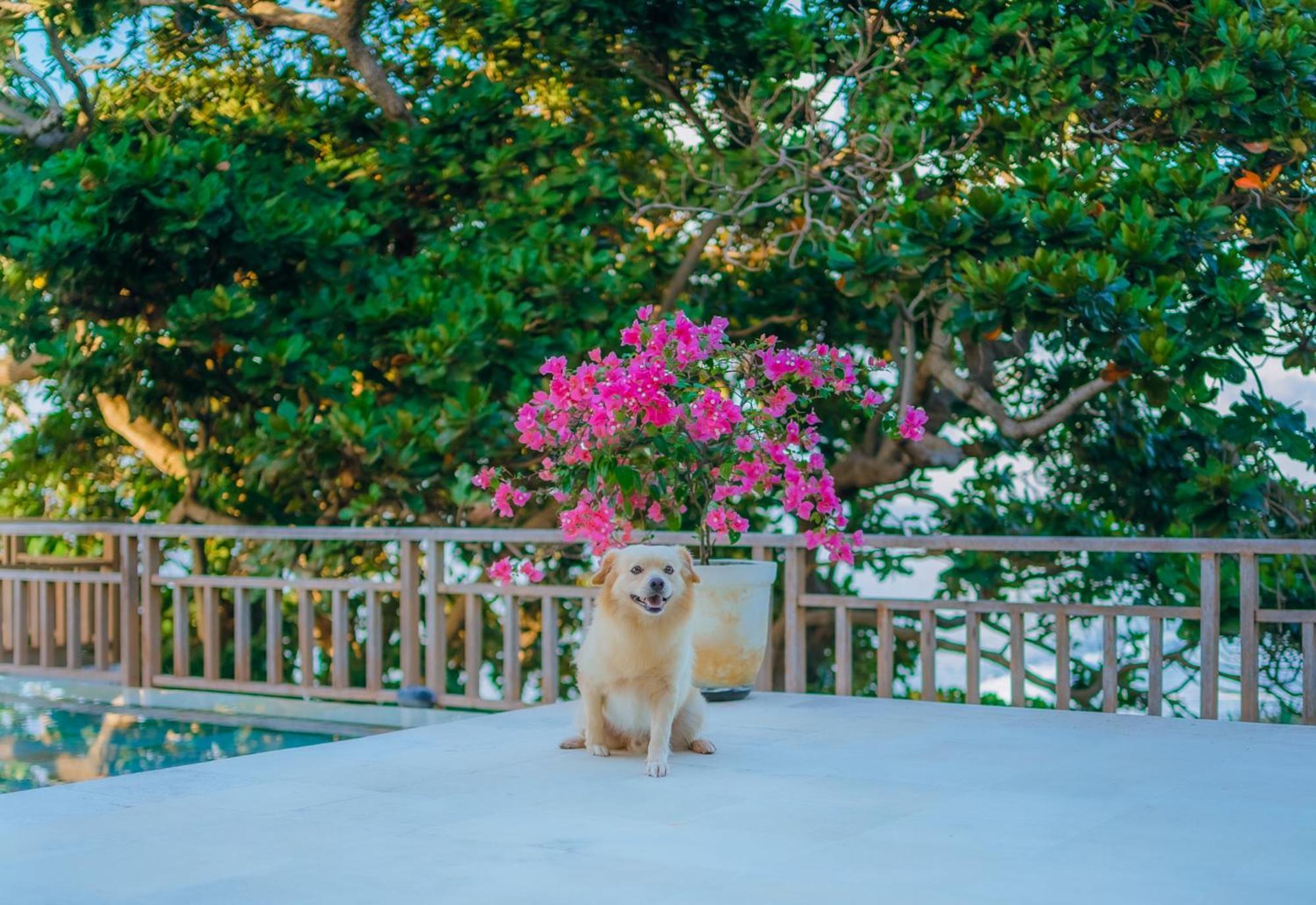Raaga Samudra Villa Padangbai  Esterno foto