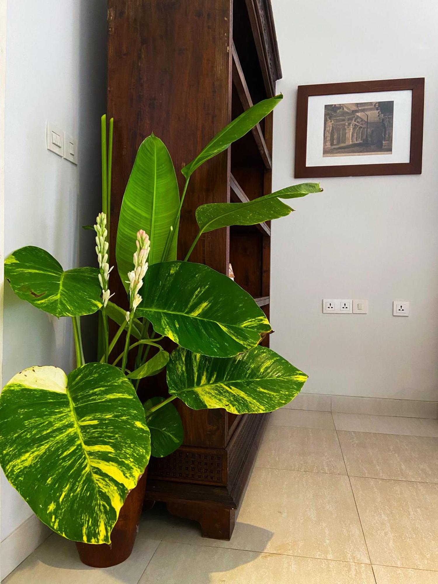 Raaga Samudra Villa Padangbai  Esterno foto